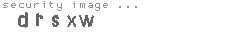 security image