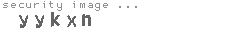 security image