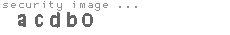 security image