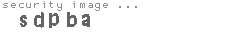 security image