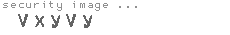 security image