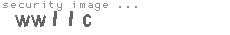 security image
