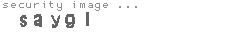 security image