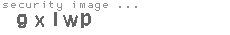 security image